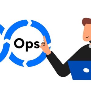 DevOps Engineers