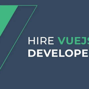 Vue JS Developers
