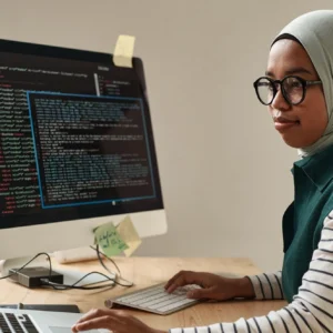 Software Developers
